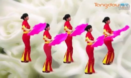 广场舞广场舞视频大全,视频大全中的舞动人生